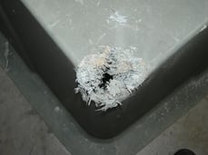 fiberglass_enclosure_with_fiber_bloom_damage.jpg