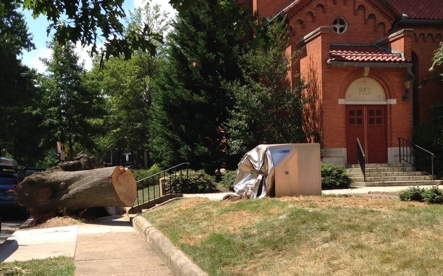 large tree fell on backflow enclosure.jpg