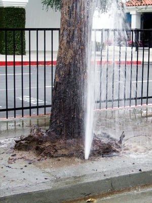 broken sprinkler head