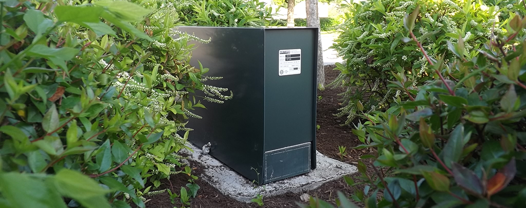 enclosure hidden in trees